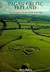 Pagan Celtic Ireland: The Enigma of the Irish Iron Age