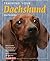 Training Your Dachshund