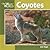 Coyotes (Our Wild World)