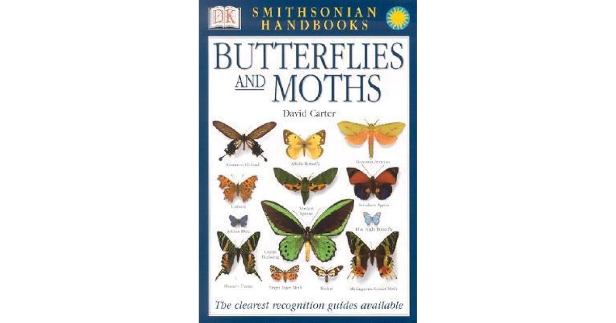 Butterflies and Moths by David Carter