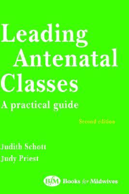 Leading Antenatal Classes (Paperback)