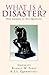 What Is a Disaster?: New An...
