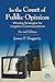 In the Court of Public Opinion by James F. Haggerty