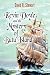 Kevin Doyle and the Mystery of Butu Island by David R. Stewart