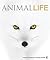 Animal Life: Secrets of the...