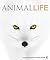 Animal Life by Charlotte Uhlenbroek