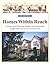 Homes Within Reach: A Guide to the Planning, Design, and Construction of Affordable Homes and Communities