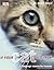 If Your Cat Could Talk