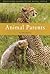 Animal Parents by Clive Roots