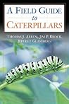 Caterpillars in t...