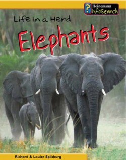 Life in a Herd of Elephants (Animal Groups)
