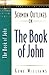 Sermon Outlines on the Book of John (Beacon Sermon Outline Series)