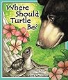 Where Should Turt...