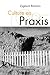 Culture as Praxis (Published in association with Theory, Culture & Society)