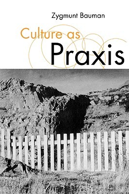 Culture as Praxis (Published in association with Theory, Culture & Society)