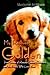 My Rescued Golden: True Stories of Rescued Golden Retrievers and the People Who Love Them