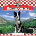 Border Collies