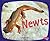 Newts (Pebble Plus: Amphibians)