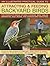 Backyard Birds III: Practical Guide to Attracting and Feeding