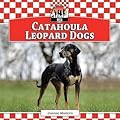 Catahoula Leopard Dogs