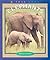 Elephants (True Books: Animals)