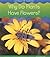 Why Do Plants Have Flowers? (Turtleback School & Library Binding Edition)