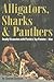 Alligators, Sharks & Panthers: Deadly Encounters With Florida's Top Predator - Man