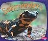 Salamanders (Pebble Plus: Amphibians) Salamanders (Pebble Plus: Amphibians)
