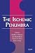 The Ischemic Penumbra by Geoffrey A. Donnan