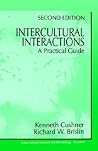 Intercultural Interactions: A Practical Guide (Cross Cultural Research and Methodology)