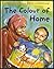 The Colour of Home by Mary Hoffman