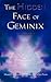 The Hidden Face of Geminix:...