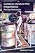 Caribbean Literature after Independence by Bill Schwarz