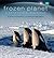 Frozen Planet: A World Beyond Imagination
