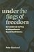 Under the Flags of Freedom: Slave Soldiers and the Wars of Independence in Spanish South America (Pitt Latin American Series, 349)