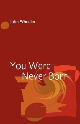 You Were Never Born (Paperback)