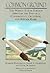 Common Ground: The Weekly Torah Portion Through the Eyes of a Conservative, Orthodox, and Reform Rabbi