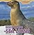 Discovering Sea Lions