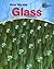 How We Use Glass (Using Materials)