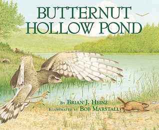 Butternut Hollow Pond (Paperback)
