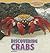 Discovering Crabs (Along the Shore)