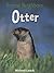 Otter