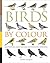 Birds by Colour