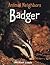 Badger (Animal Neighbors)