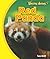 Red Panda (Unusual Animals)
