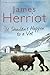 It Shouldn't Happen To A Vet by James Herriot