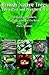 British Native Trees - Their Past and Present Uses by Piers Warren
