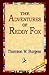 The Adventures of Reddy Fox