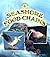 Seashore Food Chains