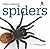Spiders (Creepy Creatures)
